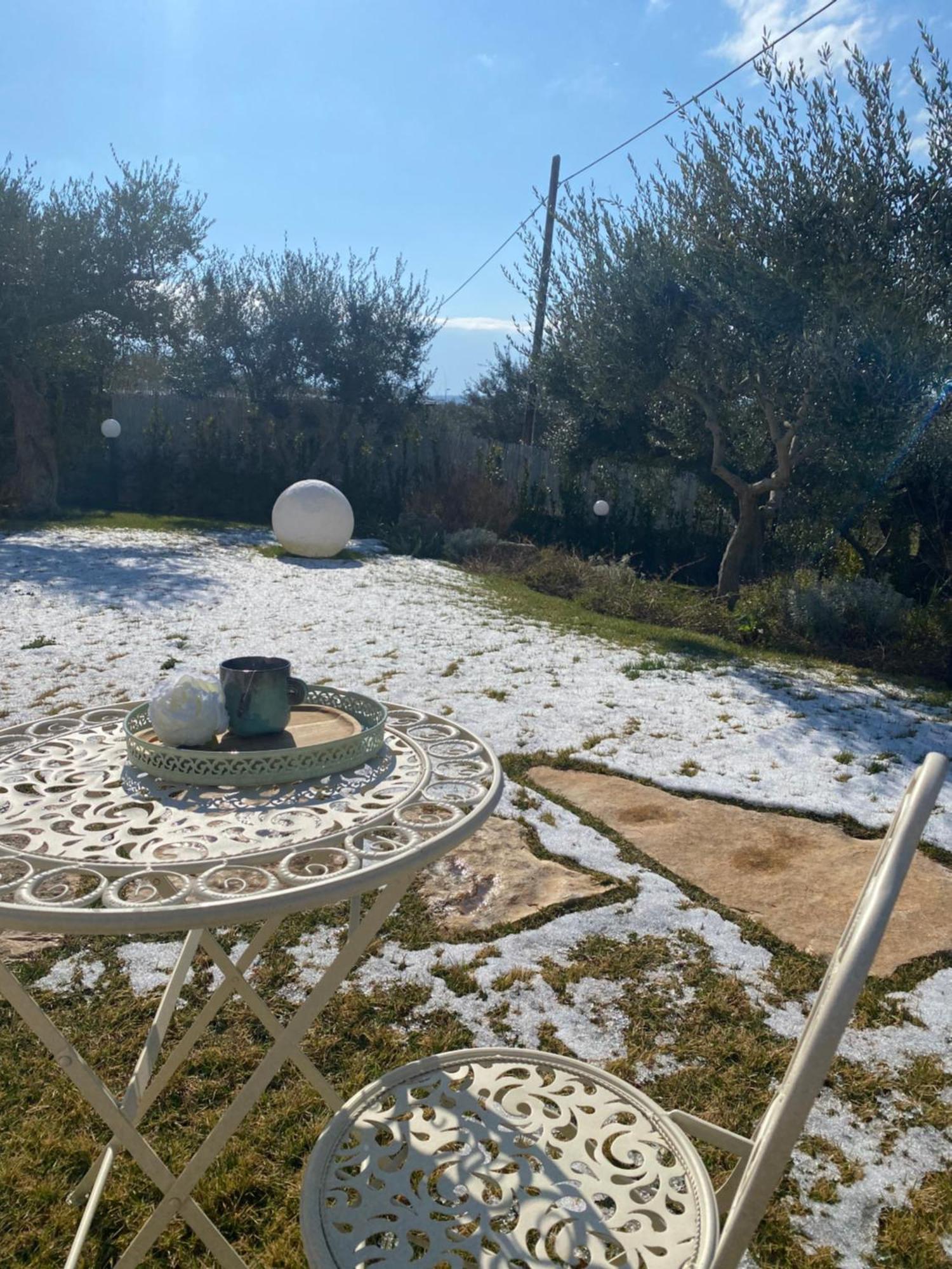 Verdeacqua Suite Locorotondo Bagian luar foto